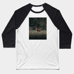 Red fox 2 Baseball T-Shirt